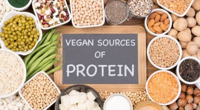 Food and Cooking: Exploring the World of Plant-Based Protein Alternatives