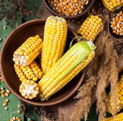 The Golden Goodness: Unveiling 6 Health Benefits of Sweet Corn
