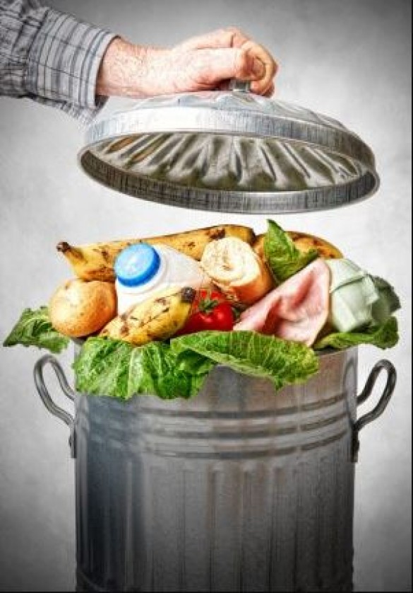 Reducing Food Waste: Practical Tips for a Sustainable Kitchen