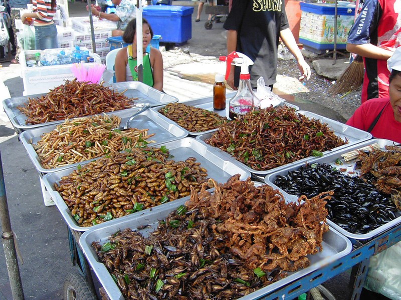 The Fascinating World of Entomophagy: Eating Insects as a Sustainable Food Source