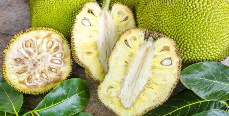 The Incredible Benefits of Jackfruit: A Nutrient-Packed Superfruit