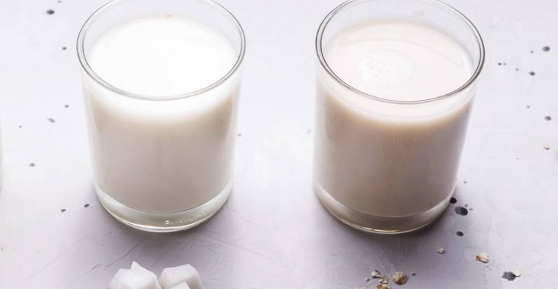 Oat Milk Or Coconut Milk: Which One Is Best For You?
