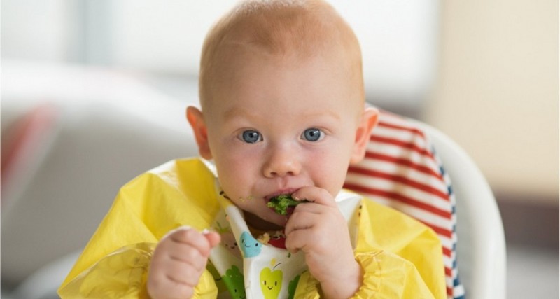 Six Healthy Probiotic Superfoods for Growing Kids: Nourish Their Gut, Fuel Their Growth