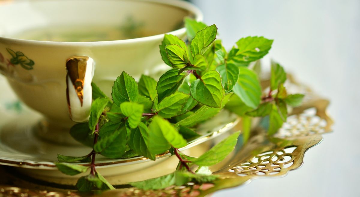 5 delicious mint tea recipes