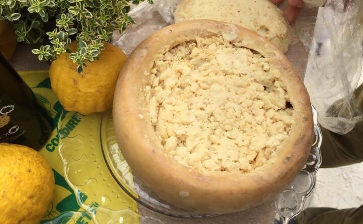 Casu marzu: The world's 'most dangerous' cheese