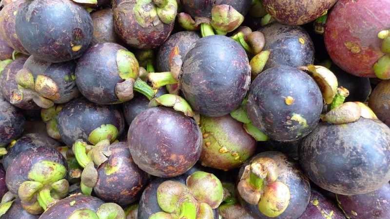 The Health Benefits of Mangosteen: What Experts Recommend