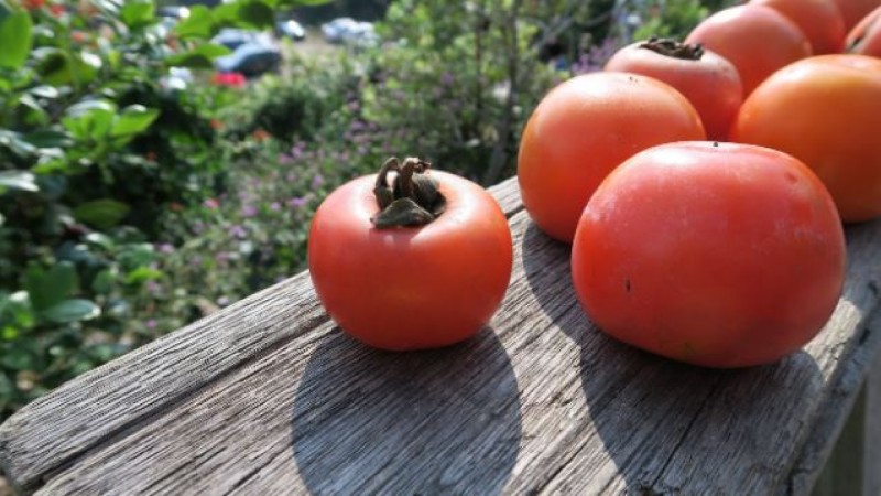 How Much Persimmon Should You Consume?