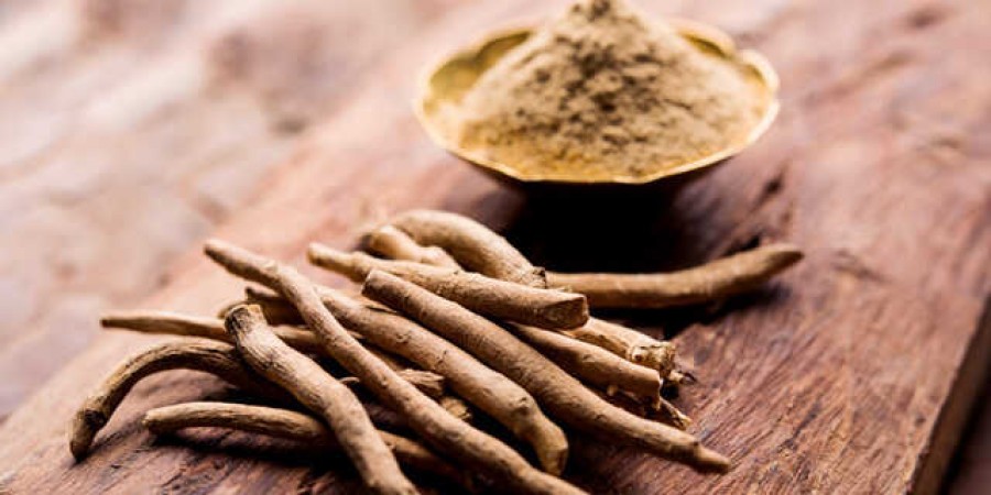 Ashwagandha powder is beneficial for the body in many ways, know here