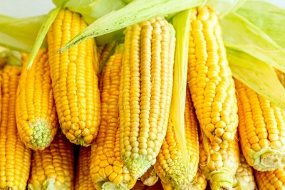 5 incredible advantages of sweet corn for your health