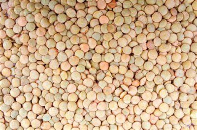 Experts' dietary recommendations for lentil