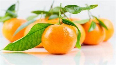Distinguishing Orange from Tangerine: Insights from Experts
