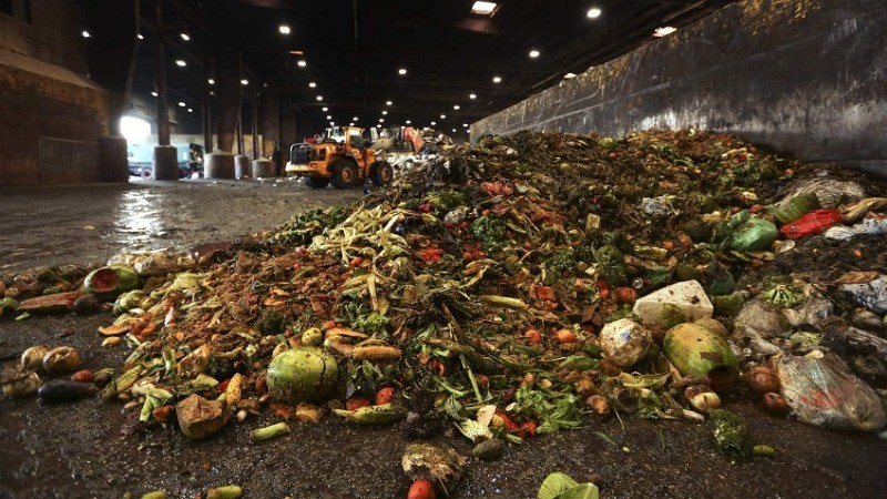 Shocking Truth About Food Waste: Uncovering the Environmental, Economic, and Social Impacts