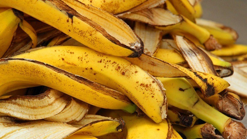 Something Awesome Happens if You Use Banana Peel as an Ingredient, Benefits of Banana Peels