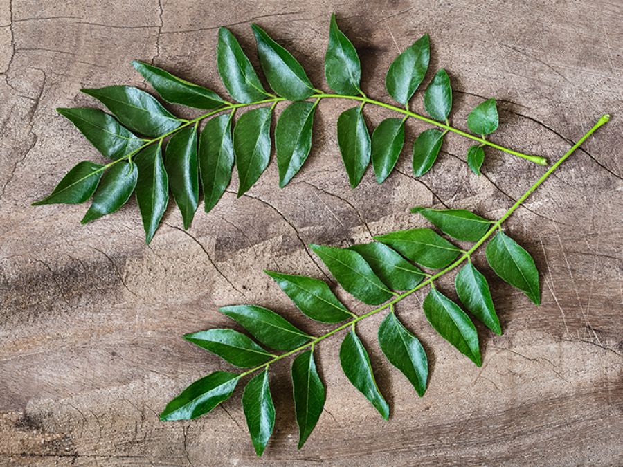 Do you know that 'Curry leaves' can also be used for This Disease