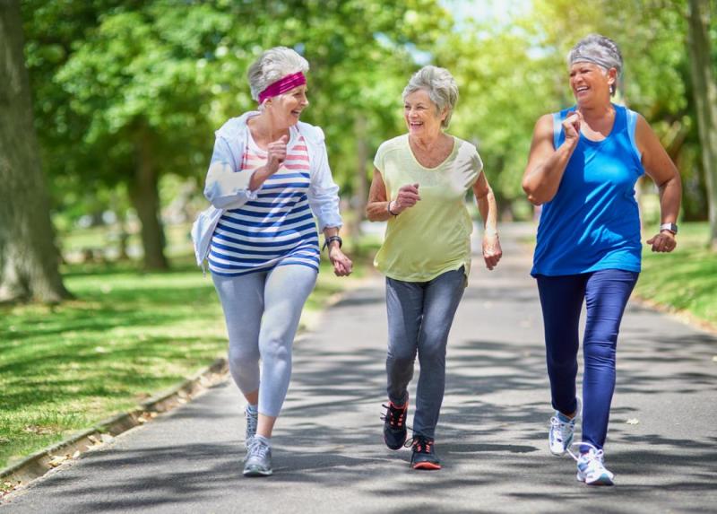 Brisk walking may prevent disability in older adults: Study