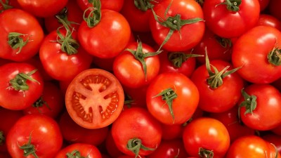 Tomato Trending: Expecting a Decrease in Tomato Prices soon