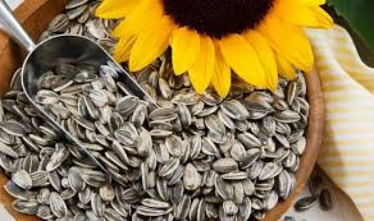 Know all the nutritional values of Sunflower Seeds