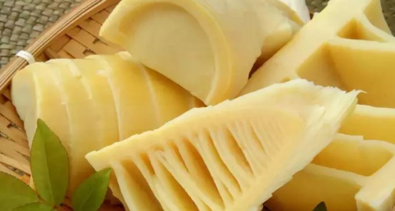 How to Incorporate Bamboo Shoots into Your Diet, Also Know its Pros and Cons