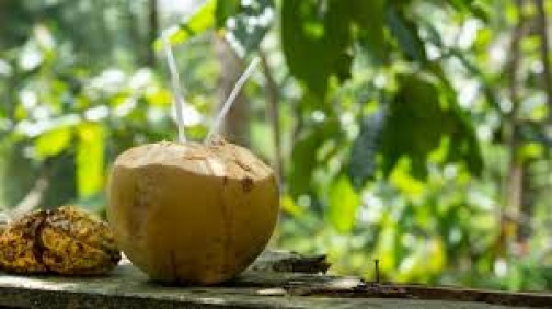 These people should not drink coconut water, problems may increase, know from experts