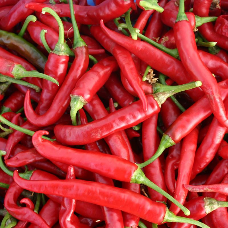 lung cancer progression can be slow down by Chilli :Study