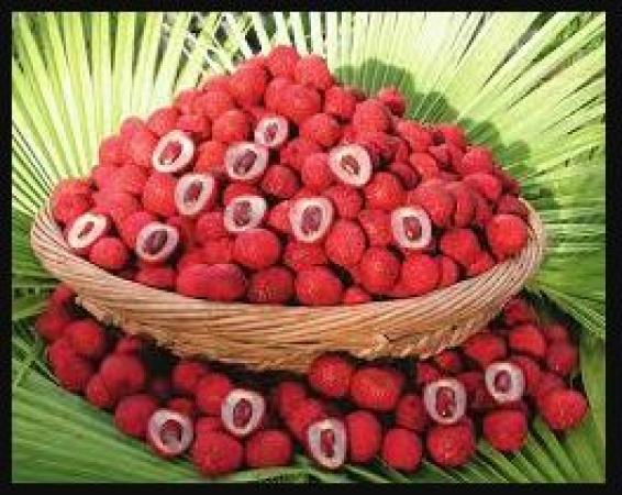 Eating Litchi has these seven benefits in this hot summer…know detail inside