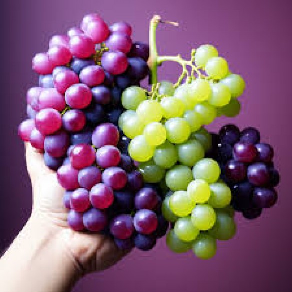 Green, red or black grapes... which one is more useful?