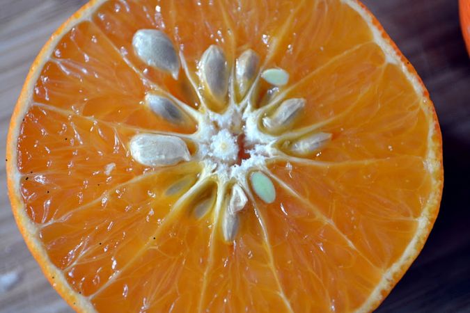 5 Unknown benefits of orange seeds