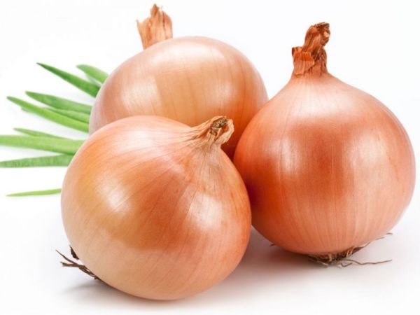 Onion can protect you from many diseases