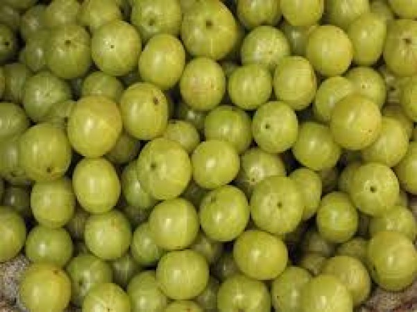 Weight Loss: Eat Amla, reduce obesity in 1 month, its benefits are amazing