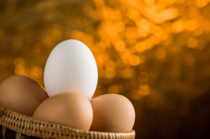 White and brown chicken eggs: which ones are healthier?