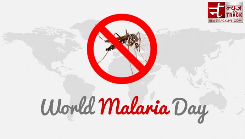 World Malaria Day 2019: types and homemade treatment