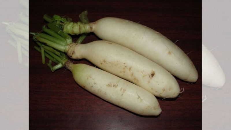 Radish reduces the risk of cancer and diabetes, know its 5 tremendous benefits