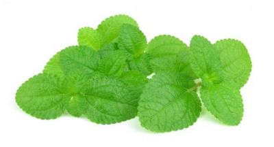 Acidity can be cured by eating these leaves