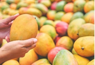 There are so many types of mangoes, very few people know about these 10