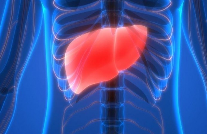 Fatty Liver Disease Is on the Rise in India: 5 Early Signs and Symptoms in Children You Shouldn't Ignore