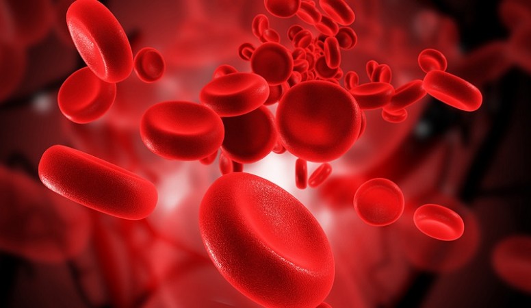 Scientists identify protein in the blood could be responsible for inflammatory response
