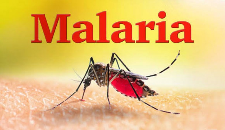 Which Test Should Be Done To Diagnose Malaria?