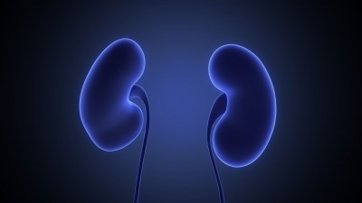 Exploring Rare Kidney Diseases: Alport Syndrome, PKD, and DDD
