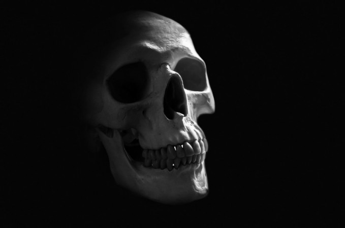 Know Your Body: How Long Does the Skull Continue to Grow?