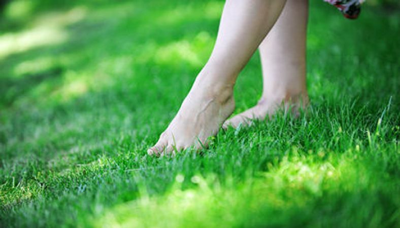 Walk barefoot on the grass every morning