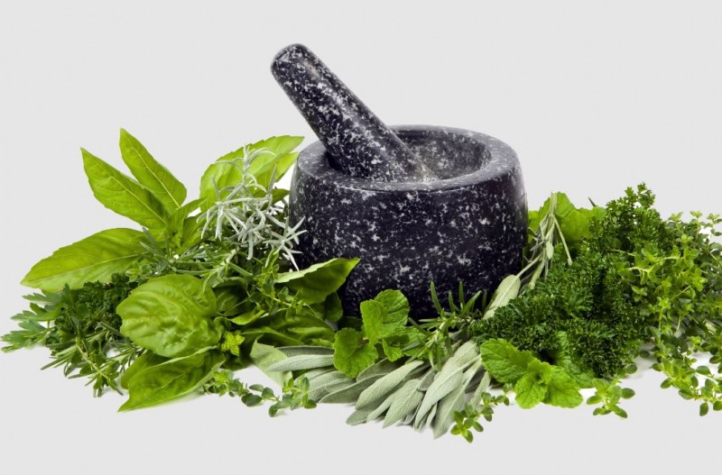 Supporting kidney function with herbs