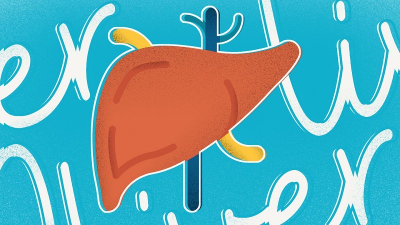 A Comprehensive Guide to Liver Health and Wellness