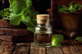 Unlocking the Power of Peppermint: 10 Benefits of Aromatherapy with Peppermint Oil
