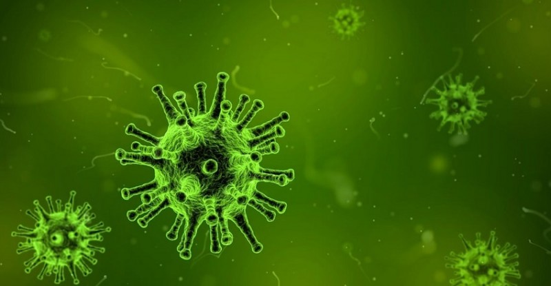 Chandipura Virus Cases Climb to Four in Rajasthan, Health Authorities Ramp Up Testing and Vigilance