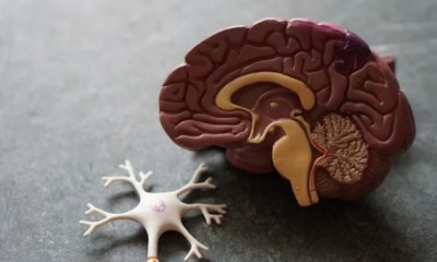 Study finds, potential blood biomarker that can signal risk of dementia