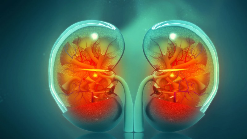 If You See These Symptoms in the Body, Be Careful; They Might Indicate Weak Kidneys
