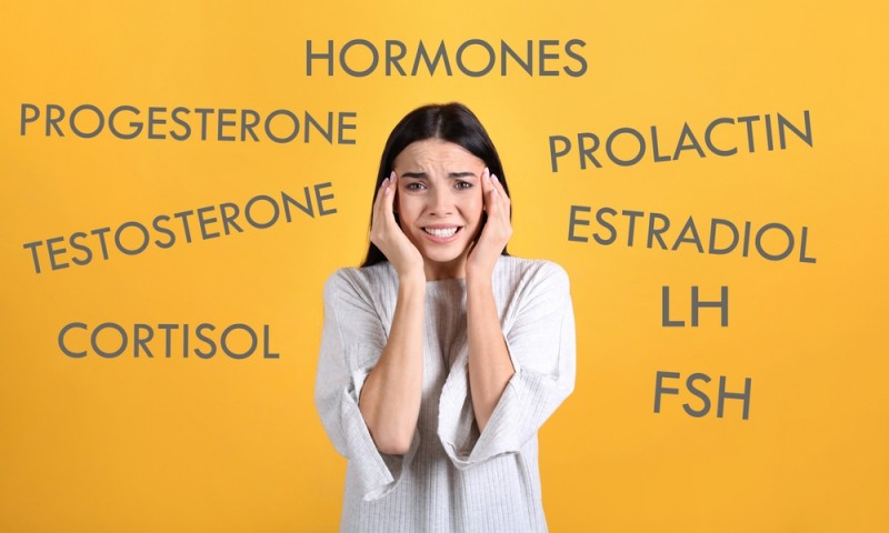 Menopause and Hormones: A Guide to Supporting Estrogen Production