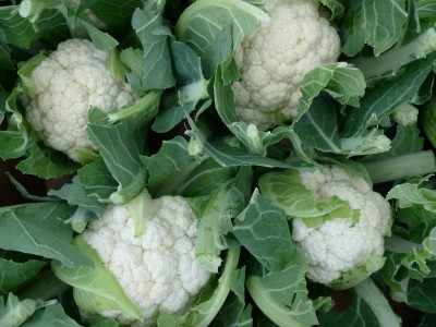 Expert Viewpoints, Health Risks, and More on Cauliflower