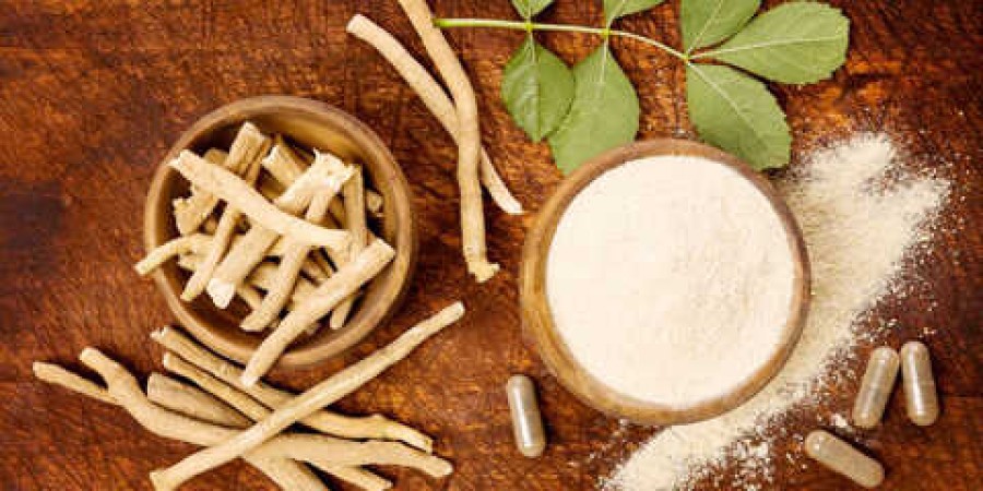 Ladies, Take Note: The Incredible Benefits of Ashwagandha