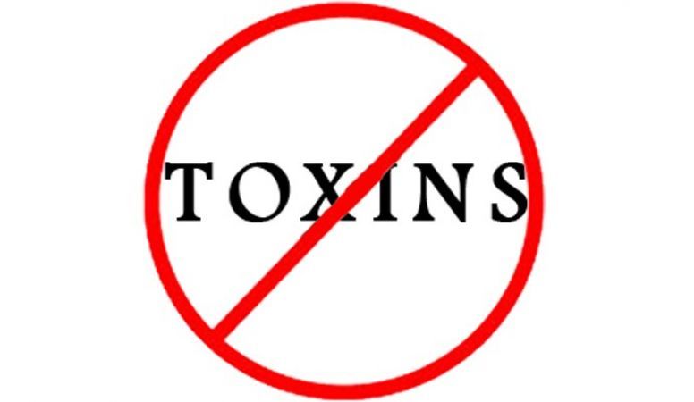These are the reasons of toxin present in your body